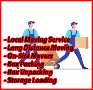 Packers And Movers Noida Sector 46